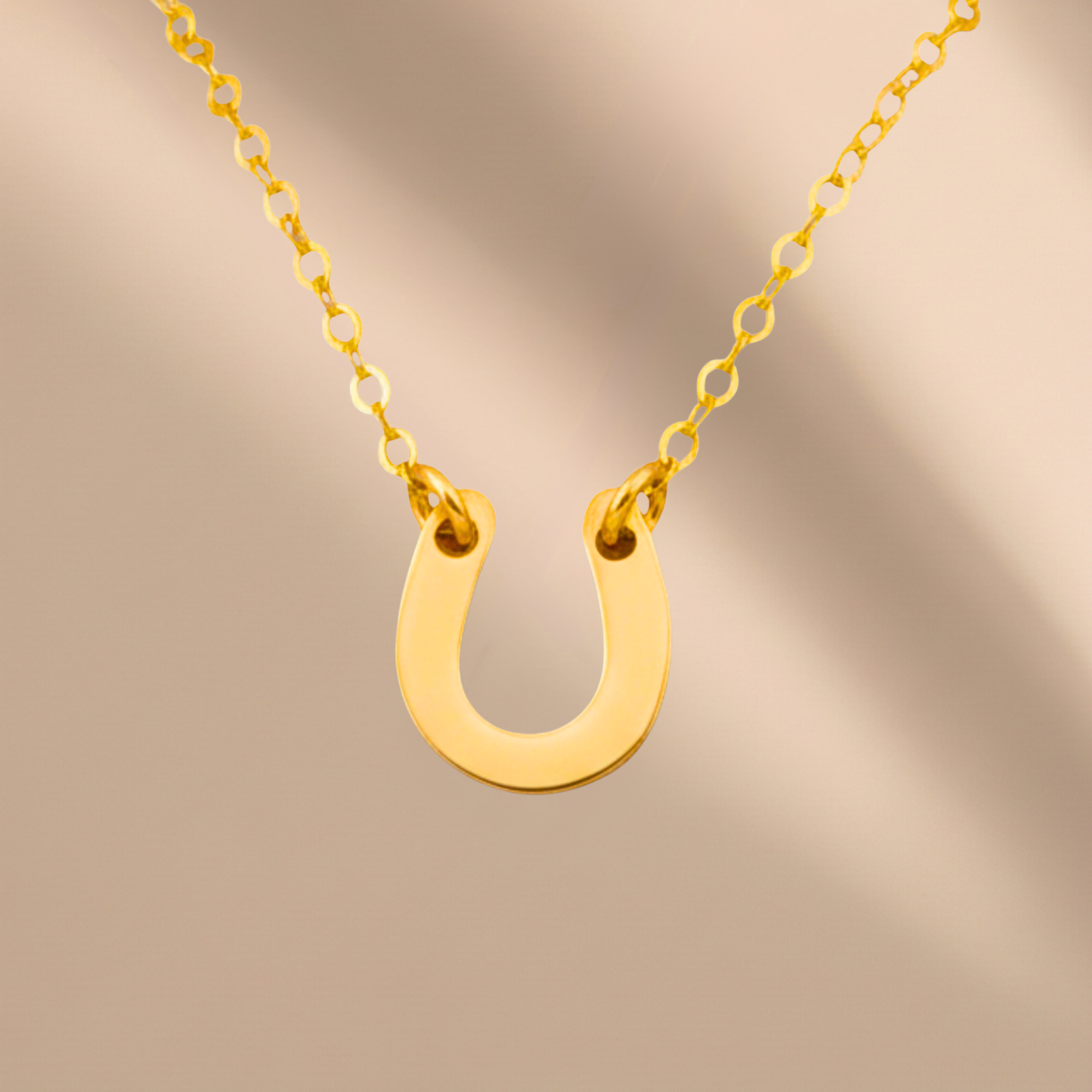 Tiny Horseshoe Necklace