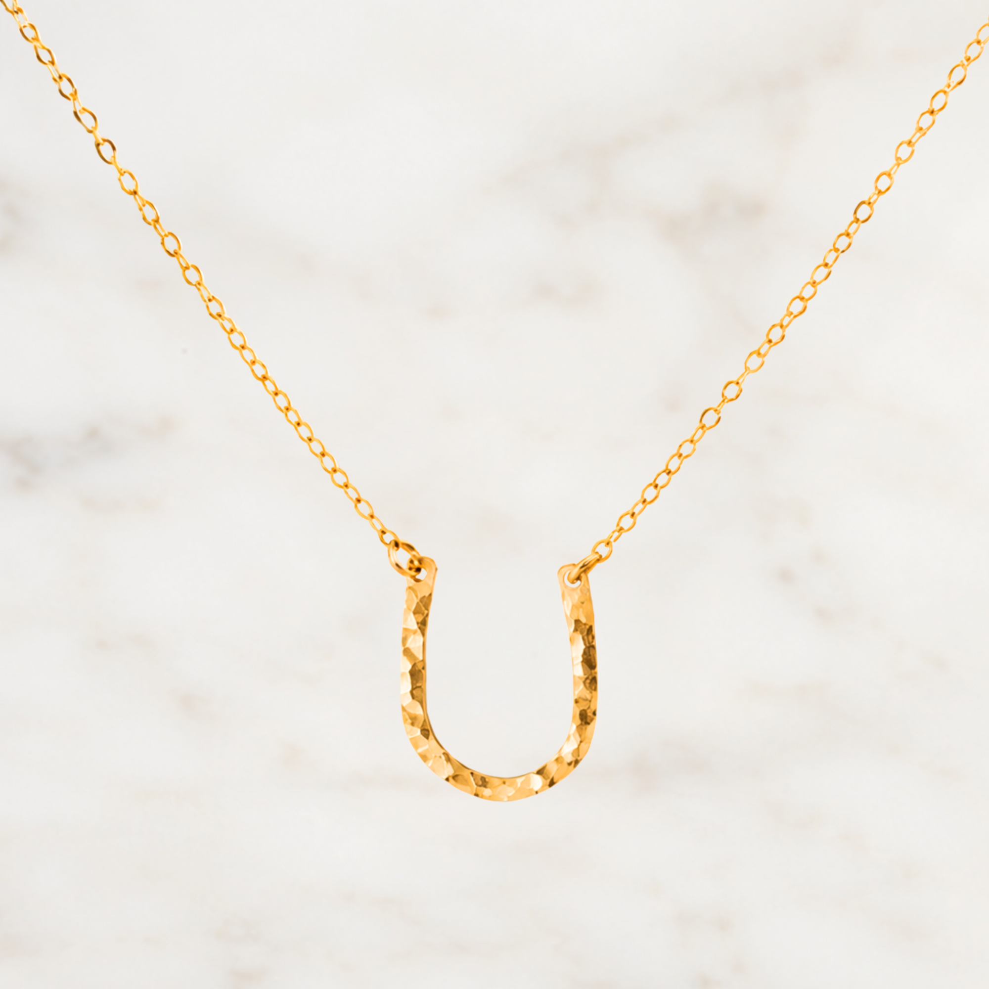 Horseshoe Pendant Necklace