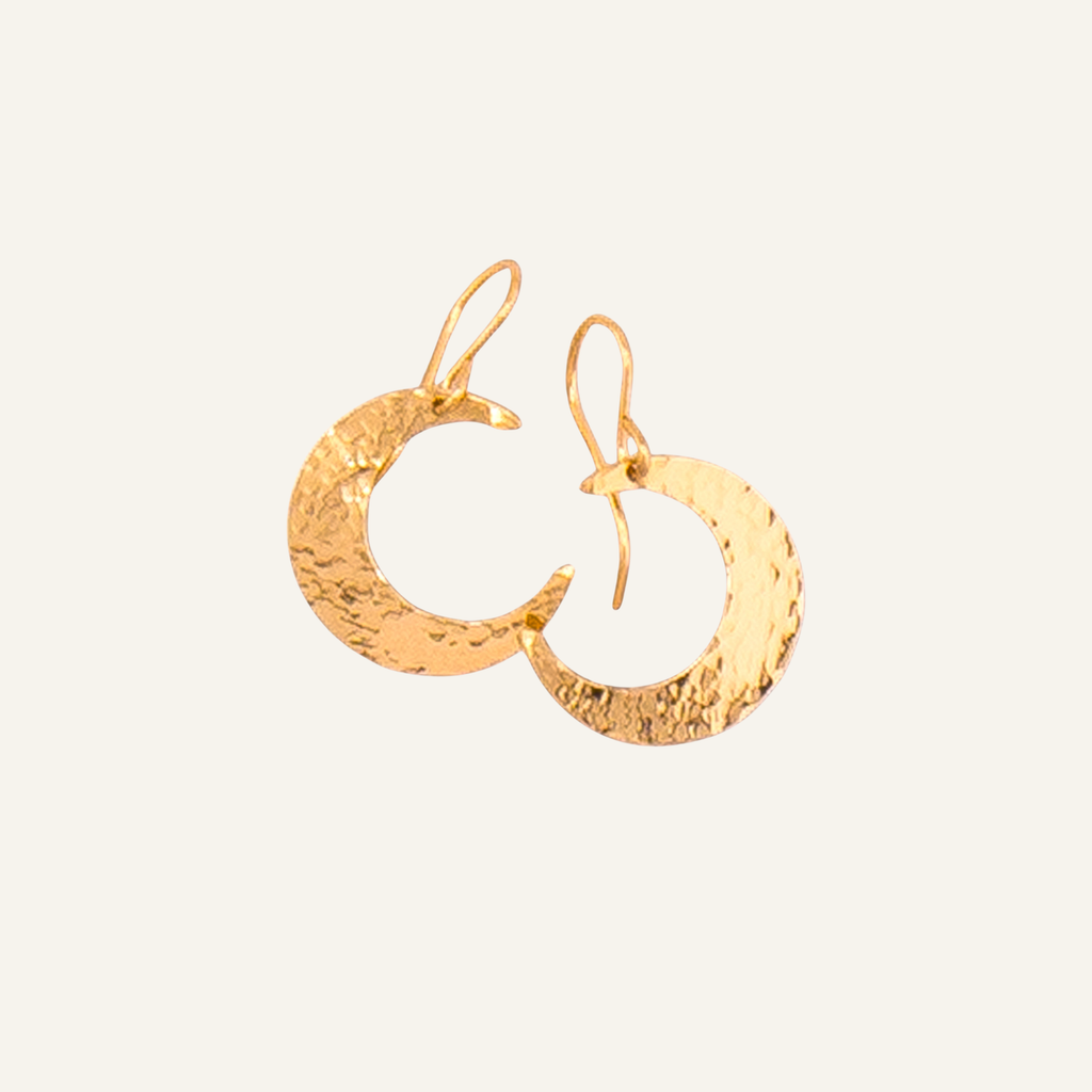 Trendy Crescent Moon Earrings