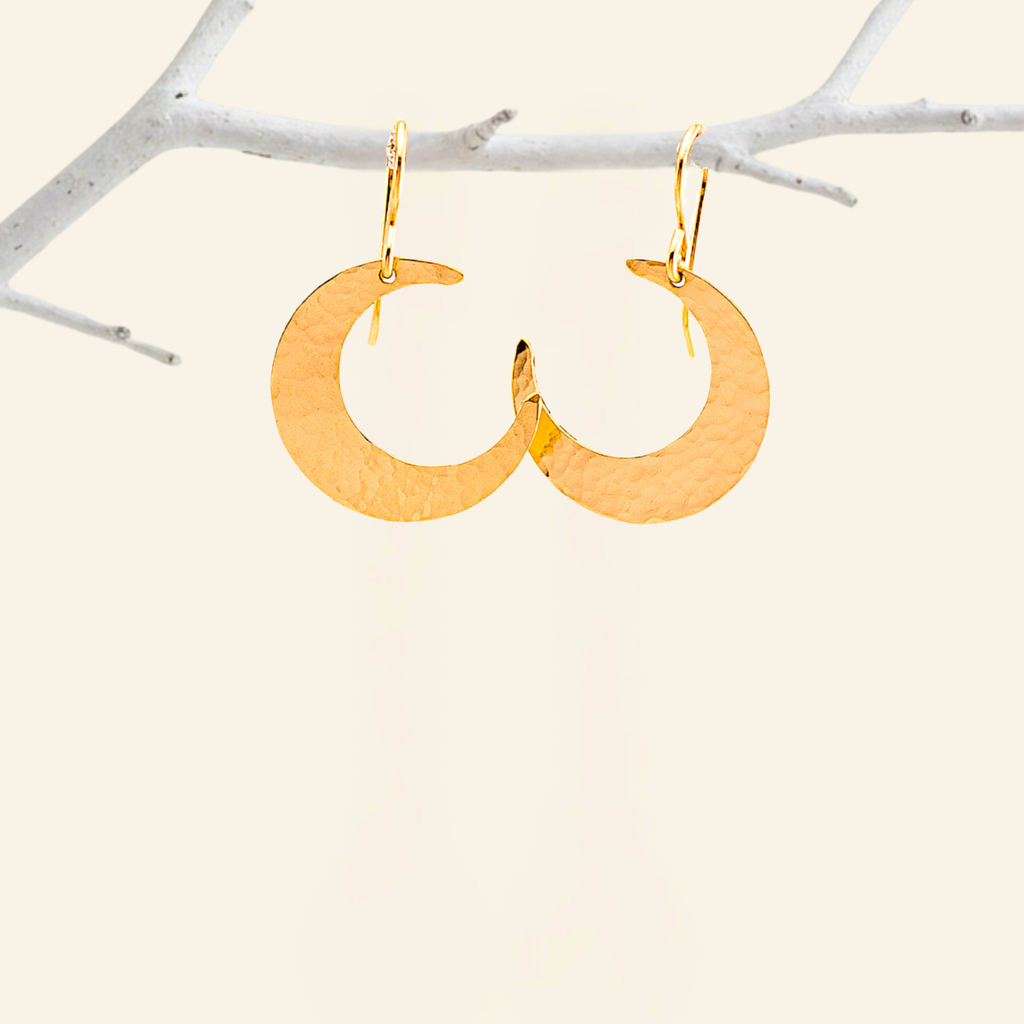 Trendy Crescent Moon Earrings