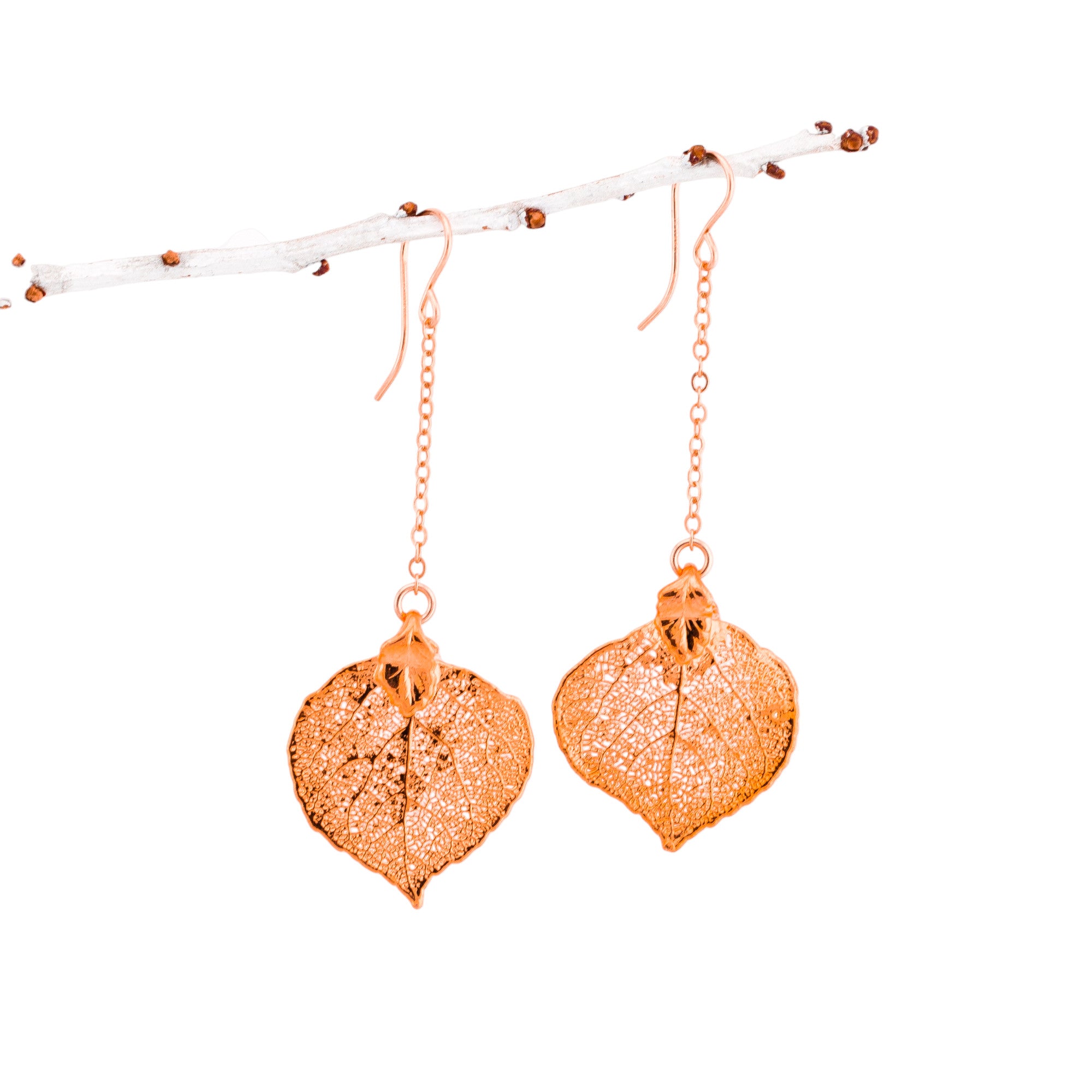 Dangle Real Leaf Long Earrings