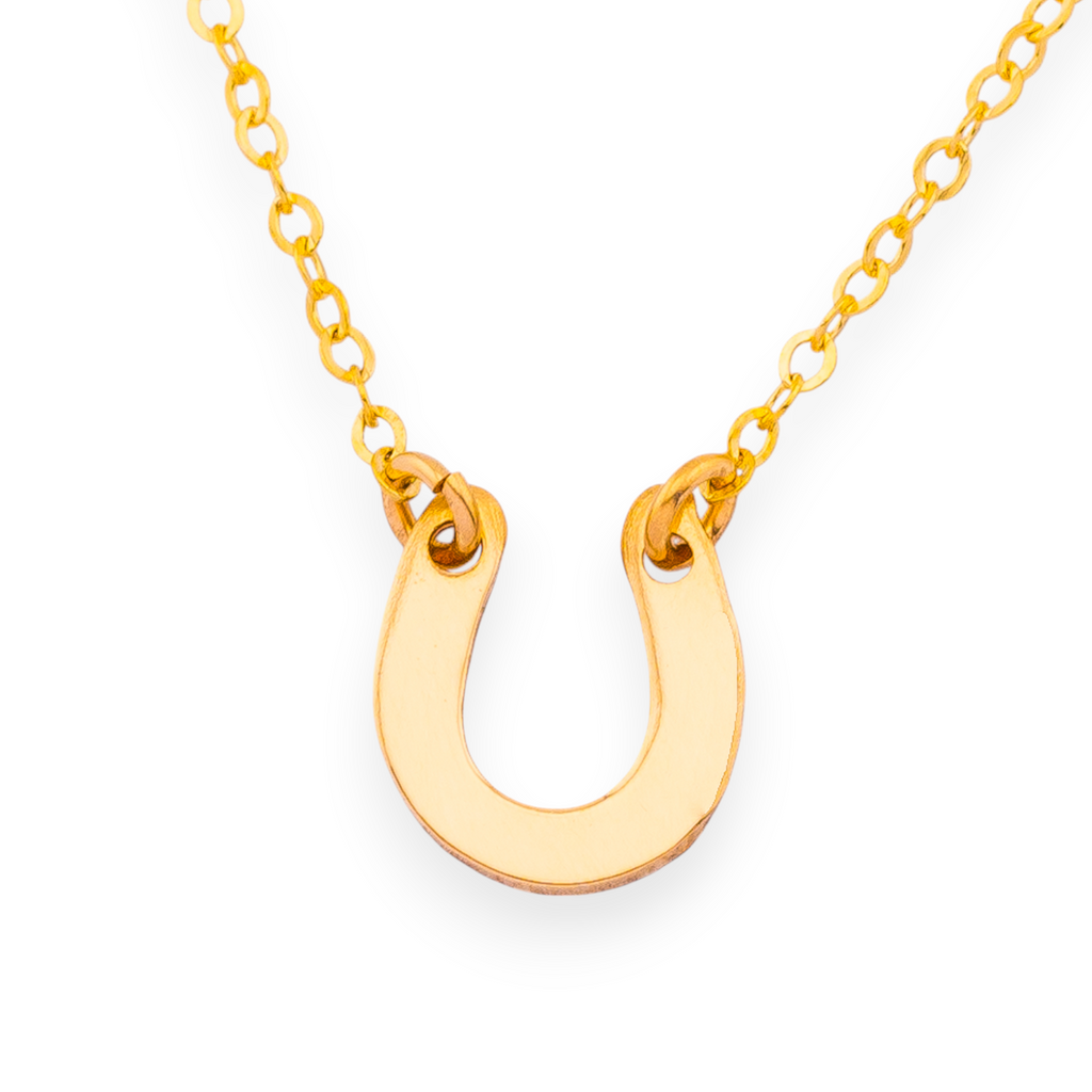 Tiny Horseshoe Necklace