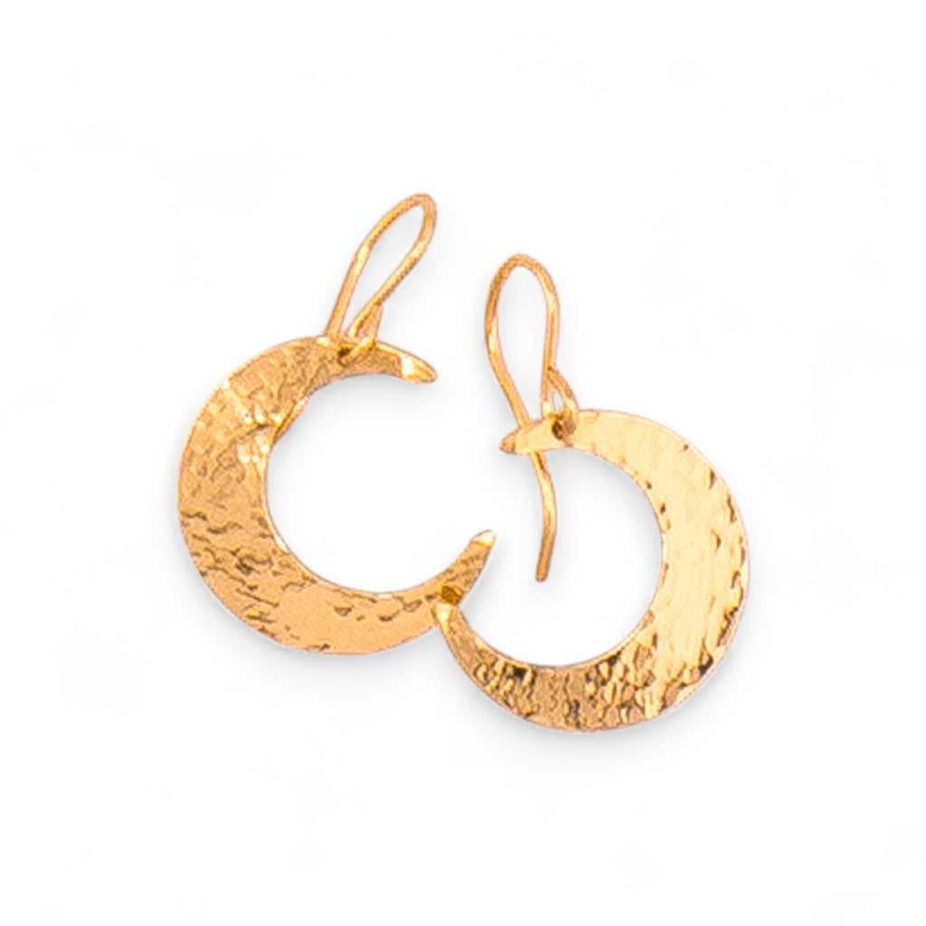 Trendy Crescent Moon Earrings
