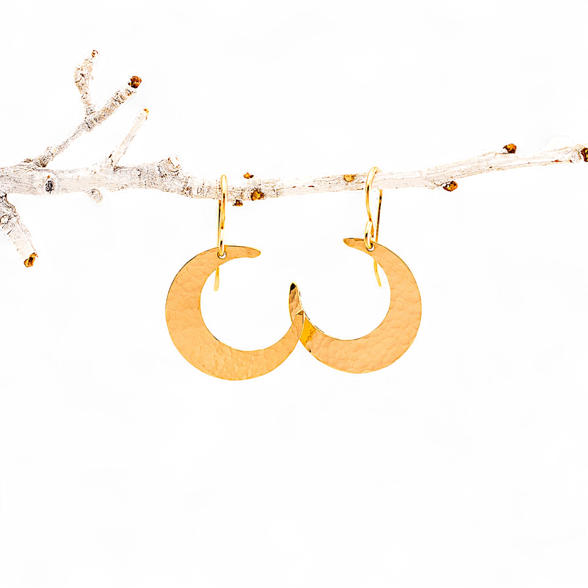 Trendy Crescent Moon Earrings