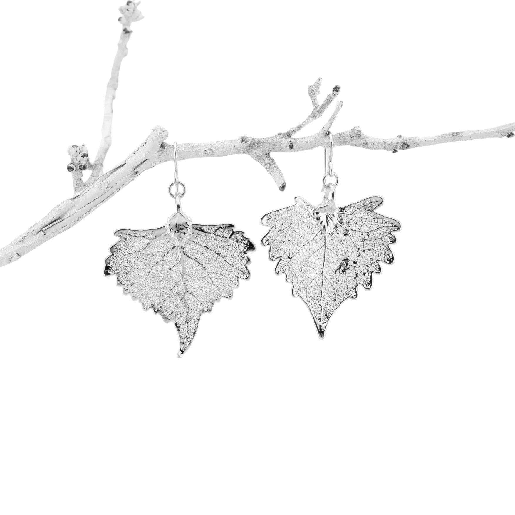 Actual Leaf Dangle Earrings
