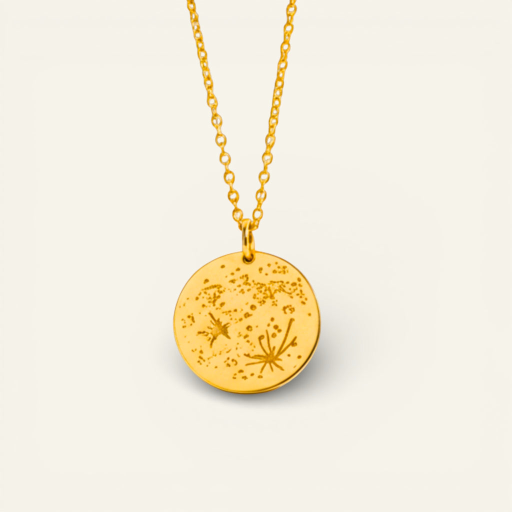 Real Moon Surface Pendant Necklace, 5/8" Disc