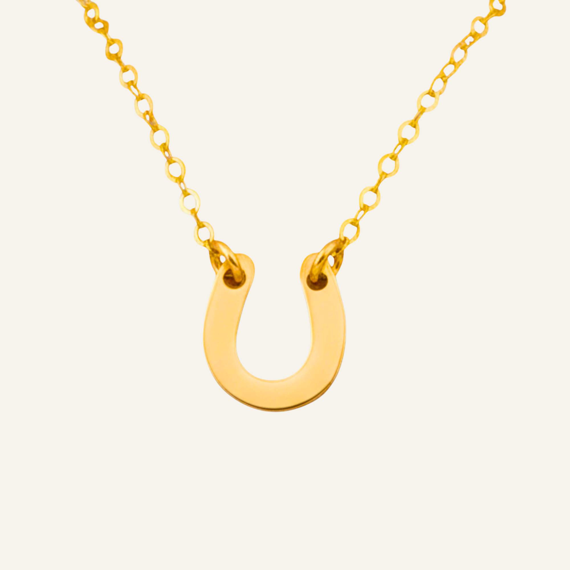 Tiny Horseshoe Necklace