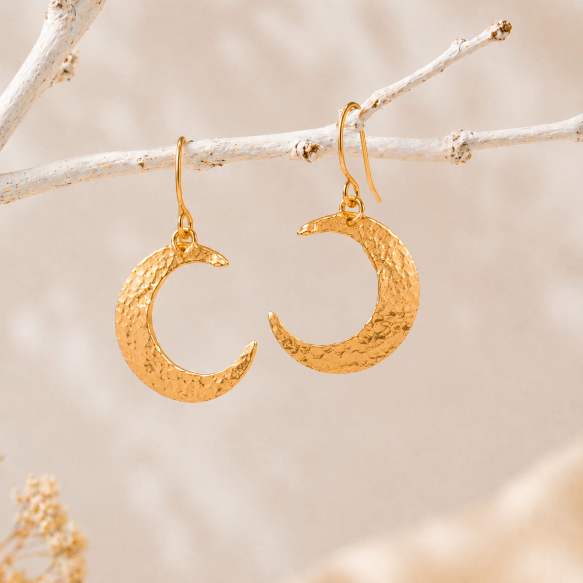 Trendy Crescent Moon Earrings