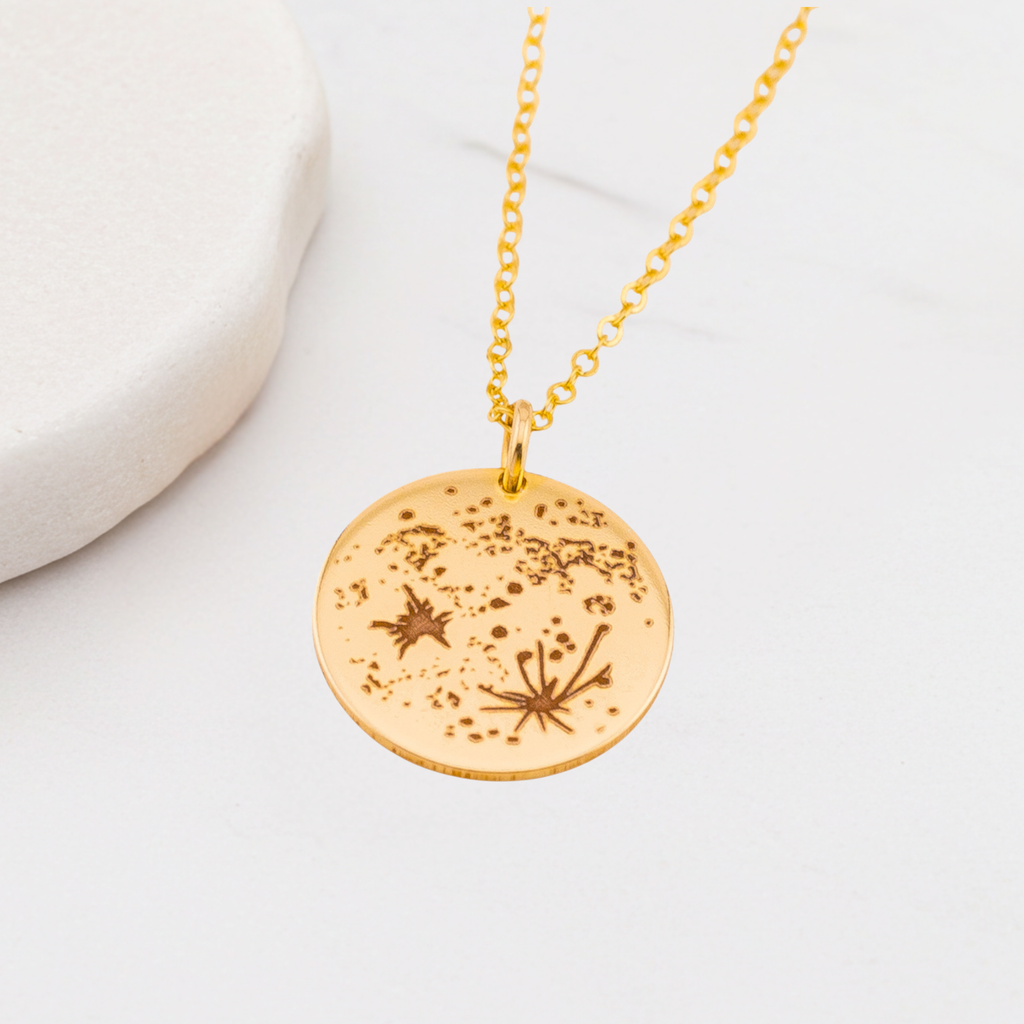 Real Moon Surface Pendant Necklace, 5/8" Disc