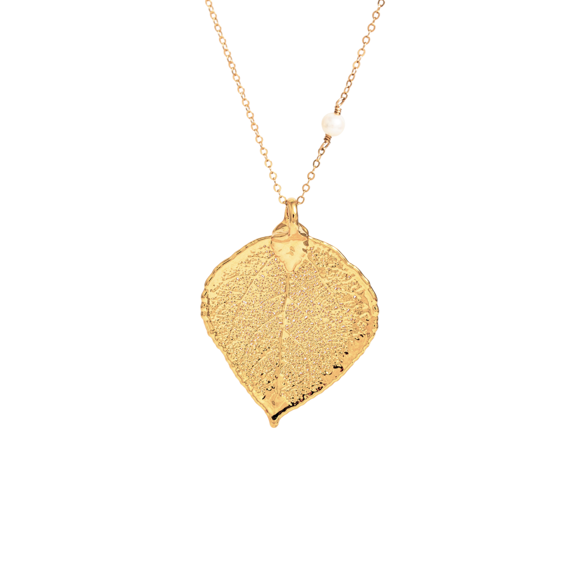 Long Gemstone Chain Real Leaf Necklace