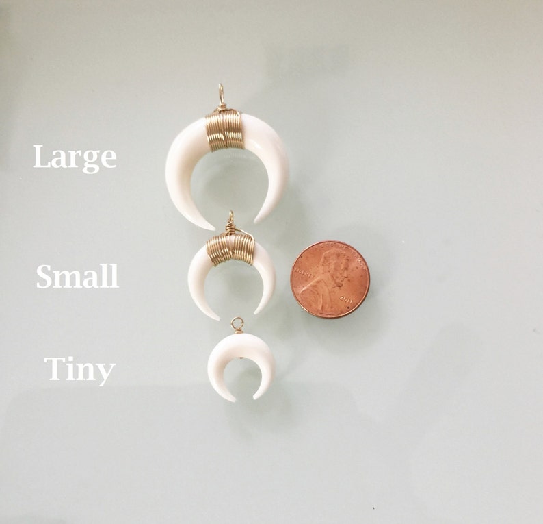 Horn Tusk Necklace